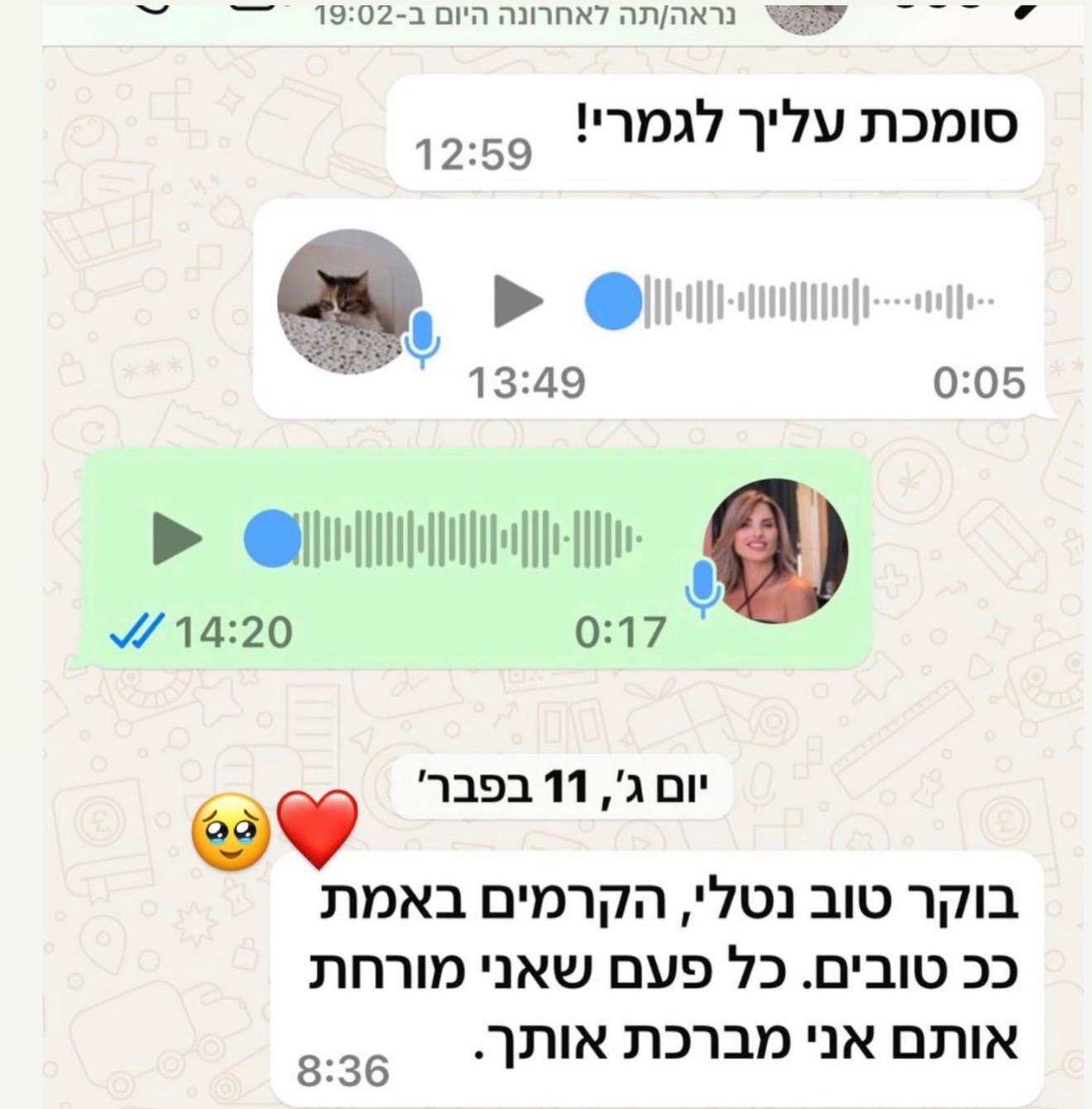 ביקורת 7