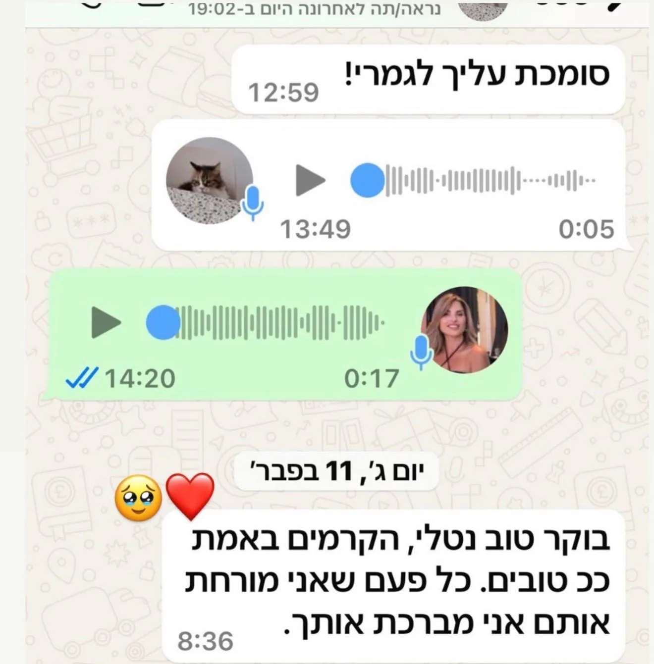 ביקורת 7